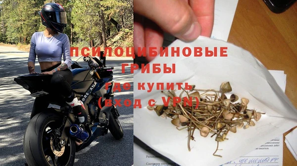 каннабис Сясьстрой